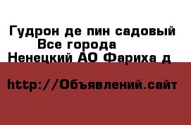 Гудрон де пин садовый - Все города  »    . Ненецкий АО,Фариха д.